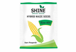 Maize-Rise 404(4kg)